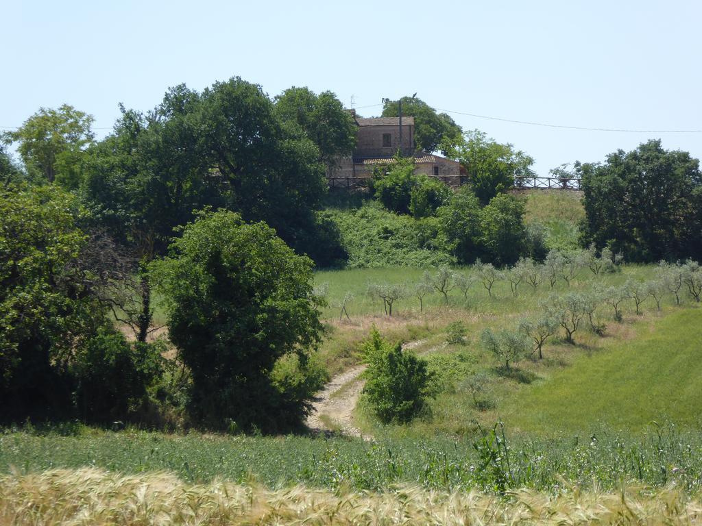 Pietre Di Fiume Βίλα Apice Εξωτερικό φωτογραφία